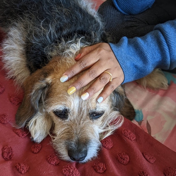 Meet your Posher, Jyotishka - Picture 1 of 1